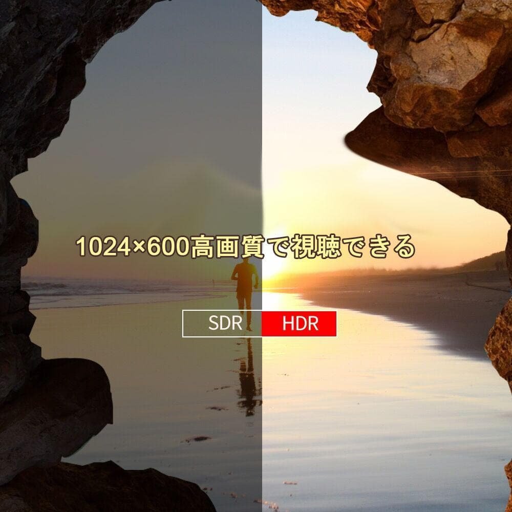 12.6型 DVDポータブル 大画面CPRM対応 リージョンフリー AV入出力