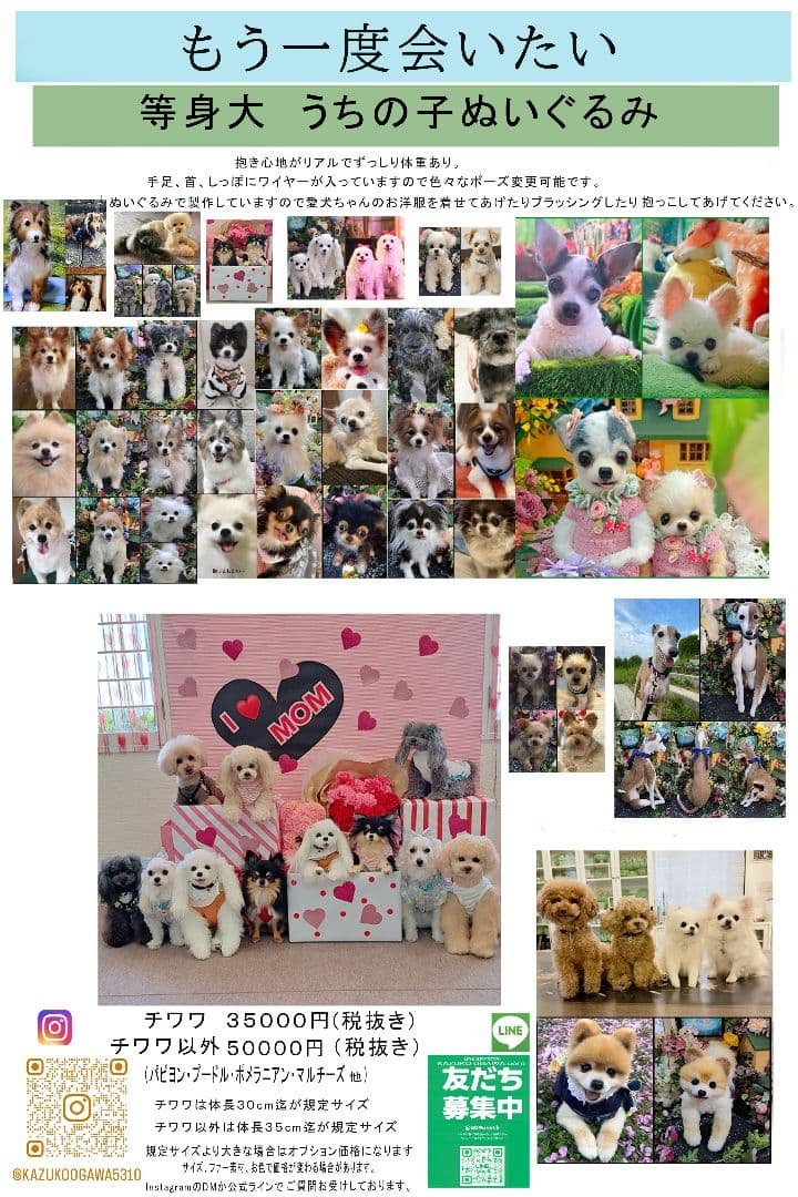 のぉーたんページ♥️等身大　チワワ　リアル　ぬいぐるみ　羊毛　カズコオガワ