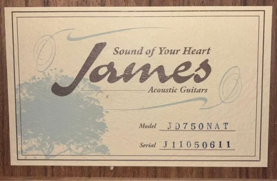 james JD750 アコースティックギター