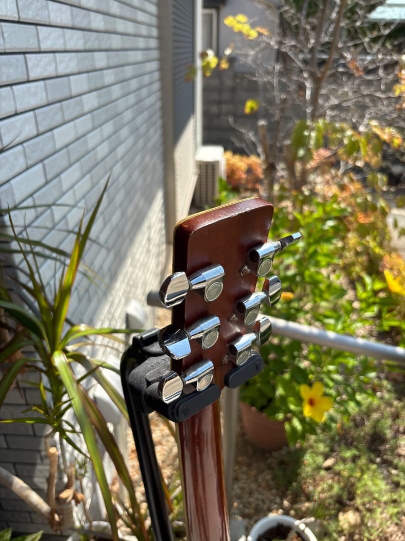 Morris W-60 トップ単板　サイド、パックはハカランダ