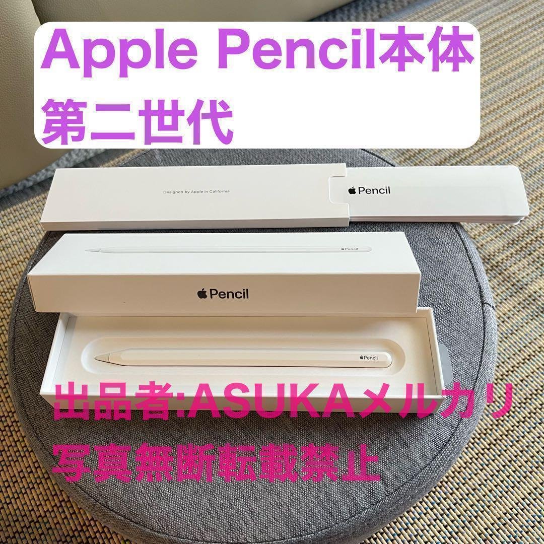 Apple Pencil 第2世代　アップルペンシル第2世代