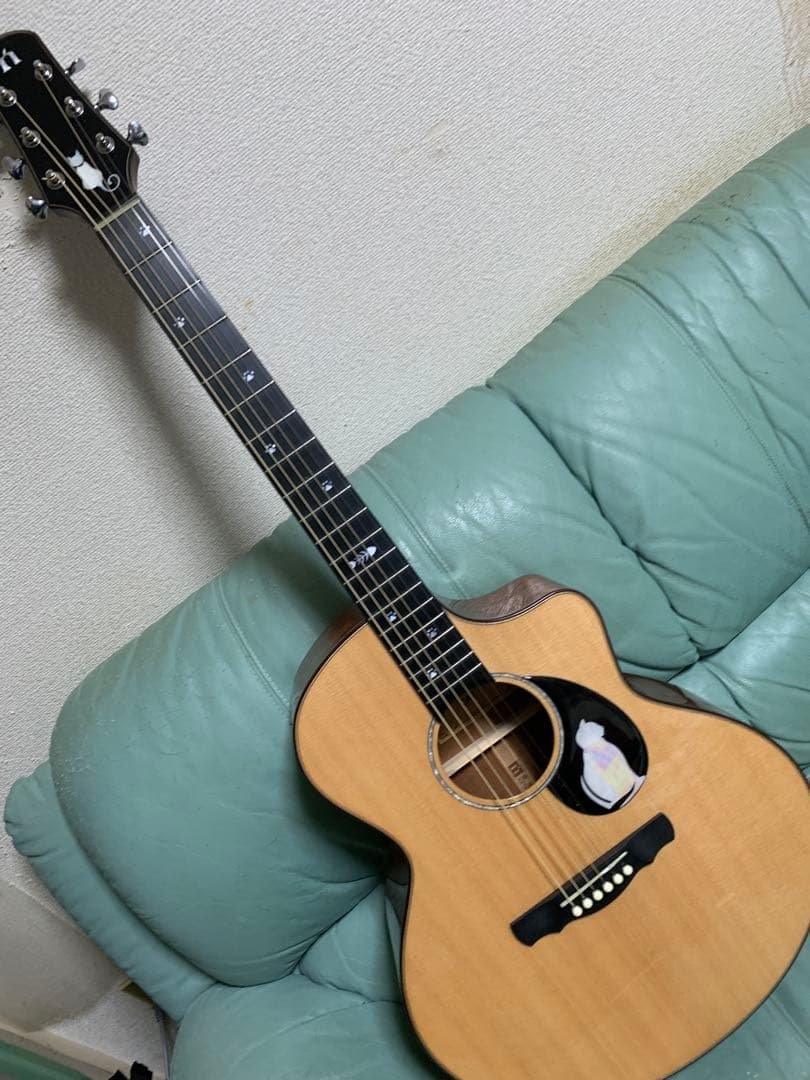 ナターシャギター　THE CAT