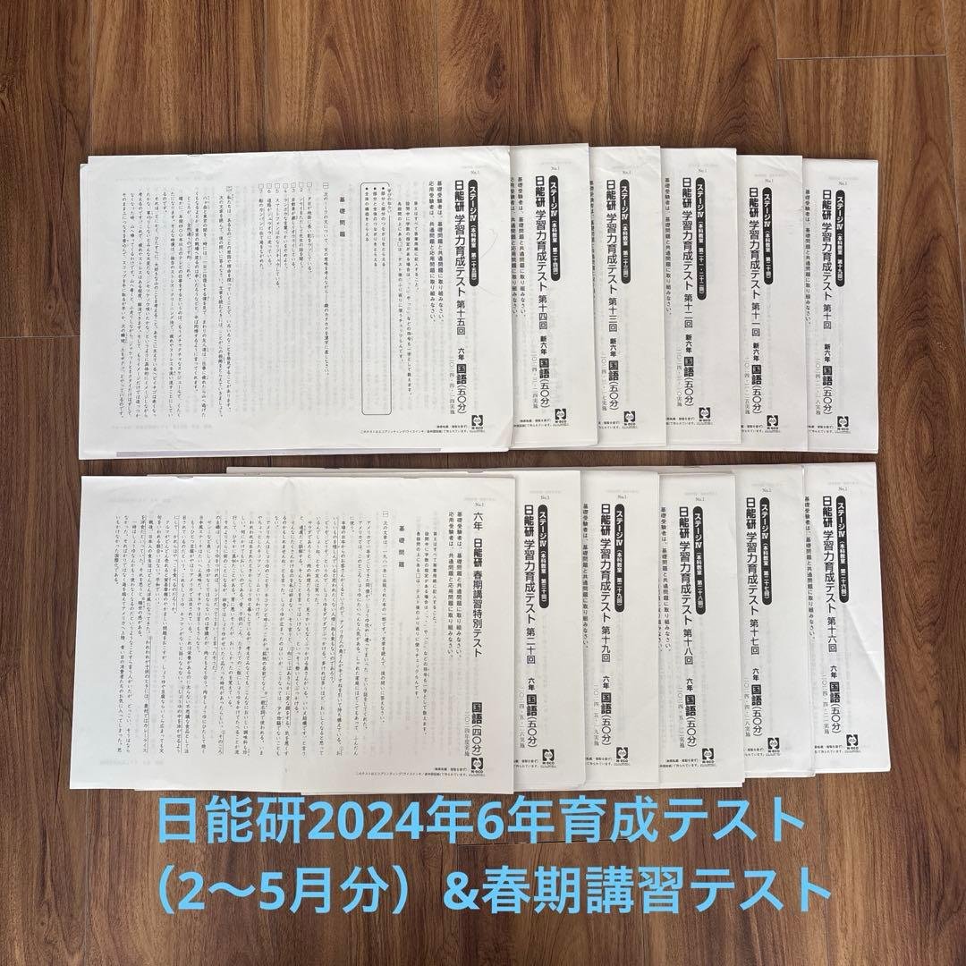 n*u様 日能研2024年 6年育成テスト&春期講習テスト