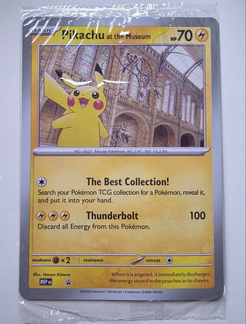 よ*0様 Pikachu at the Museum ピカチュウ ロンドン自然史