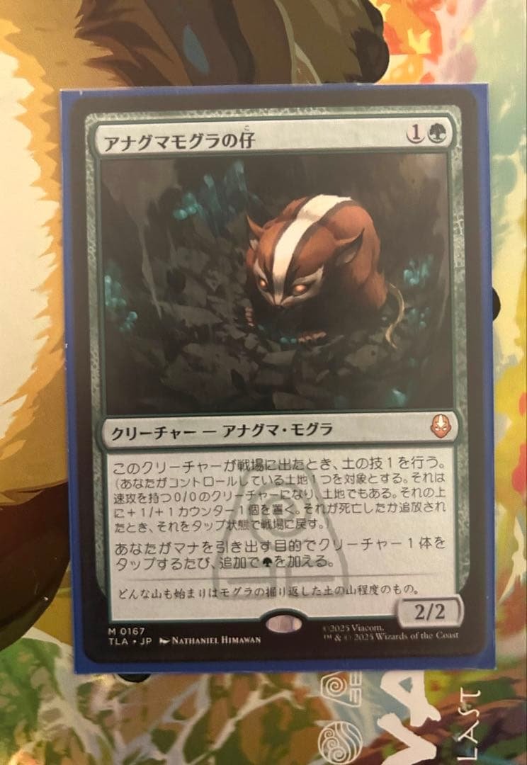 アナグマモグラの仔/Badgermole Cub 1枚 日本語