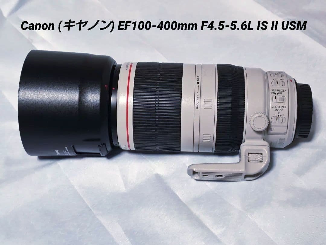その他 Canon EF100-400mm F4.5-5.6L IS II USM