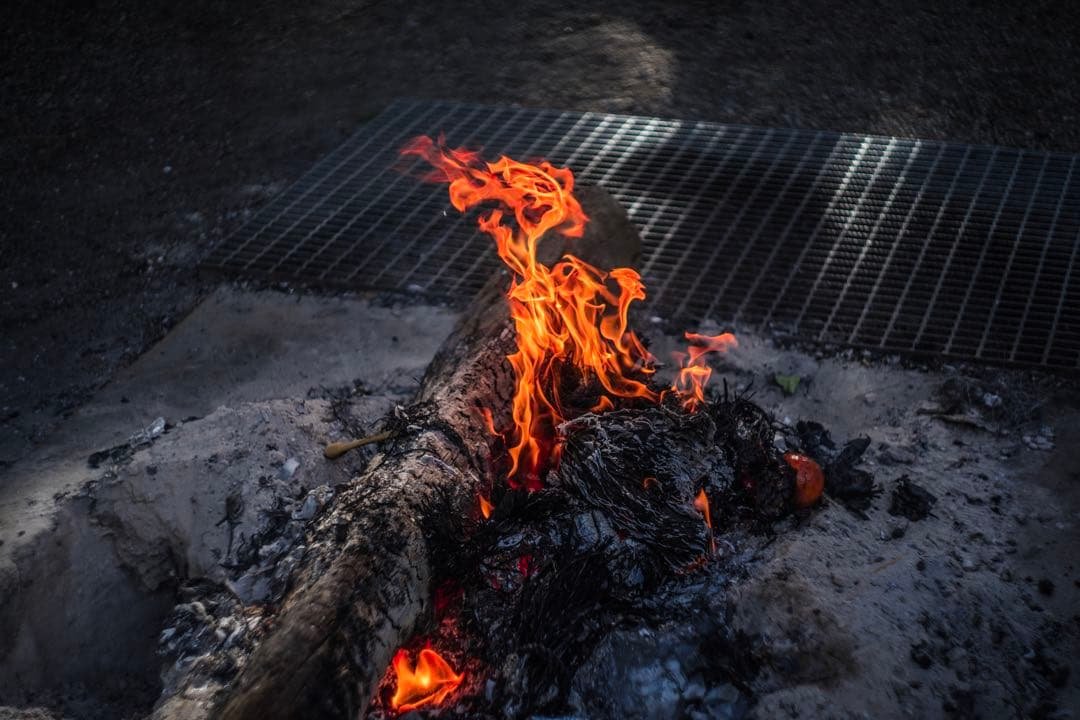 分解清掃済 Helios-44M-4 58mm f2 ぐるぐるボケ 014