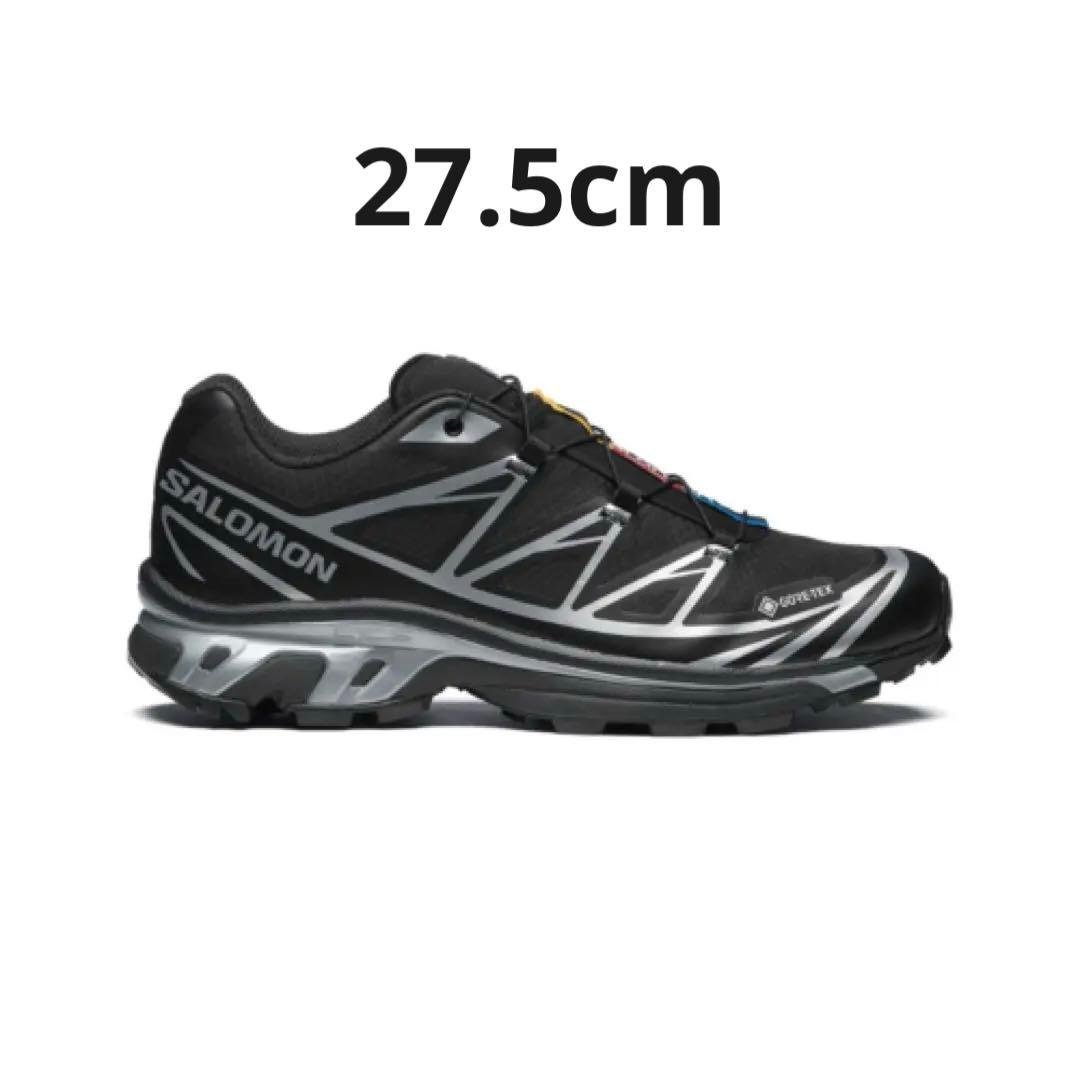 【hal美品】SALOMON XT-6 GTX gore-tex