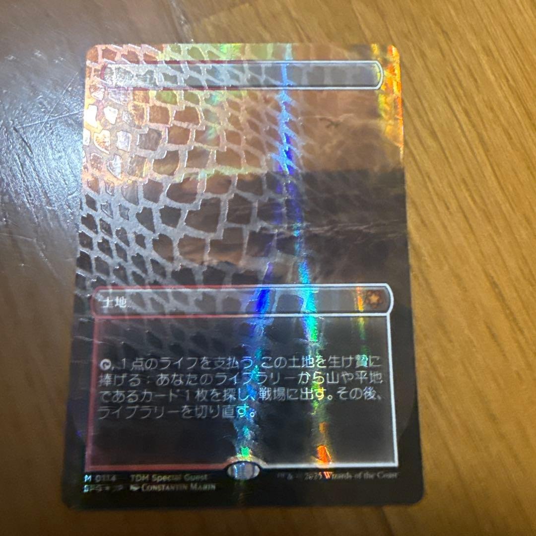 乾燥台地　ドラゴンスケイルfoil