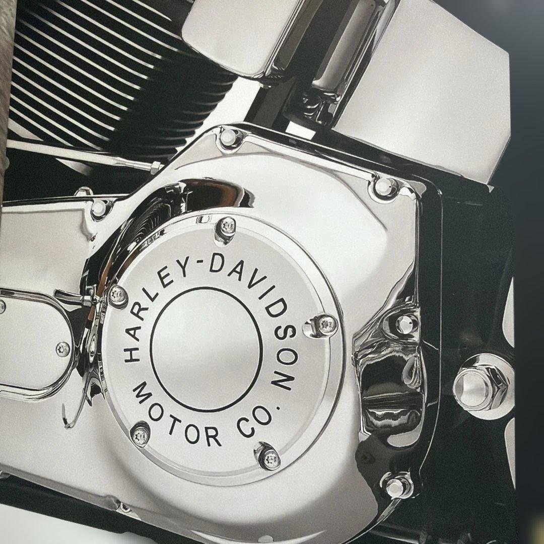 Harley-Davidson デリバリーカバー