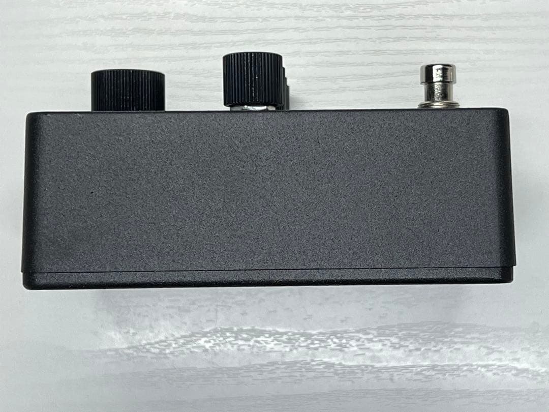 ギター Paul Reed Smith (PRS) HORSEMEAT