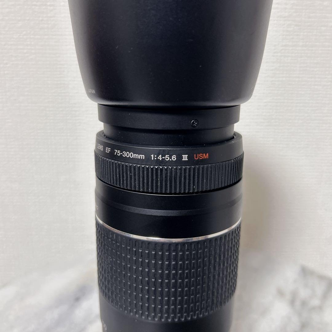 Canon EF 75-300mm F4-5.6 III USM 望遠レンズ