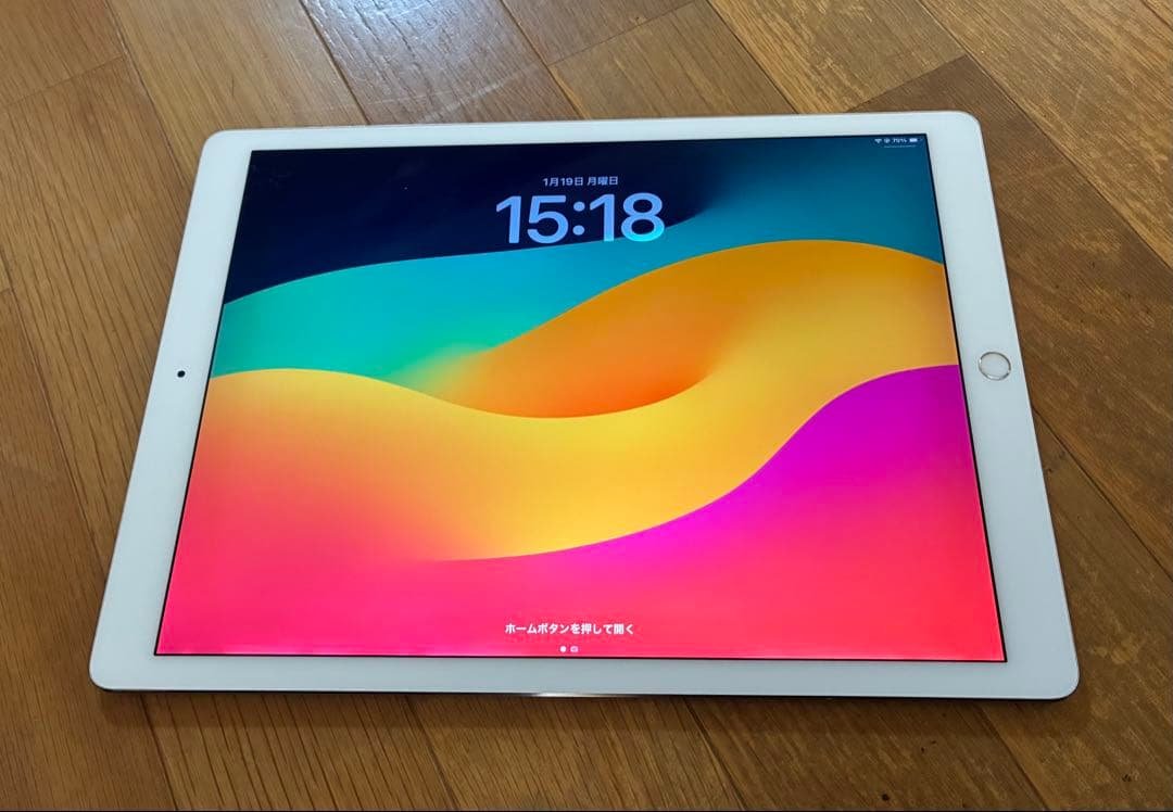 Apple iPad pro 第2世代 12.9インチ 64GB wifiモデル