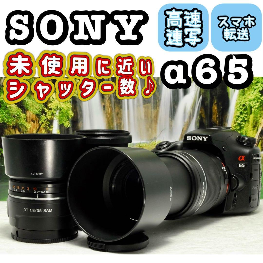 まいたけ様期間限定値下‼️SONY α65 ❤️スマホ転送 トリプル ソニー