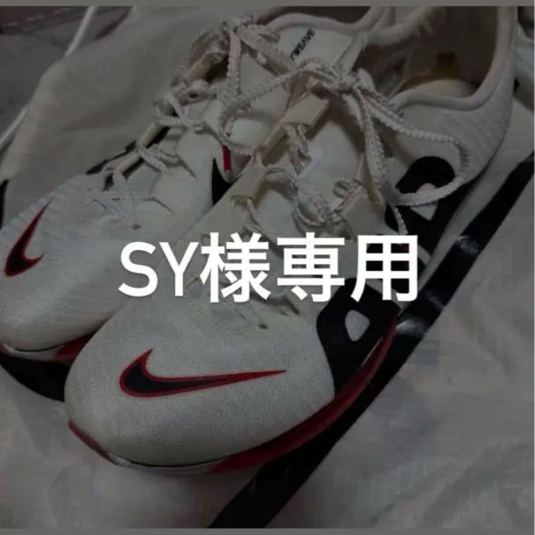 sy　MAXFRY×2