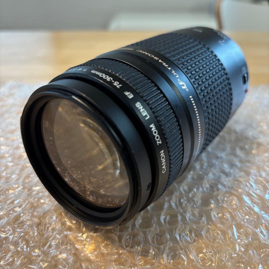 デジタル一眼レフカメラ/Canon EF 75-300㎜ 1:4-5.6 Ⅱ