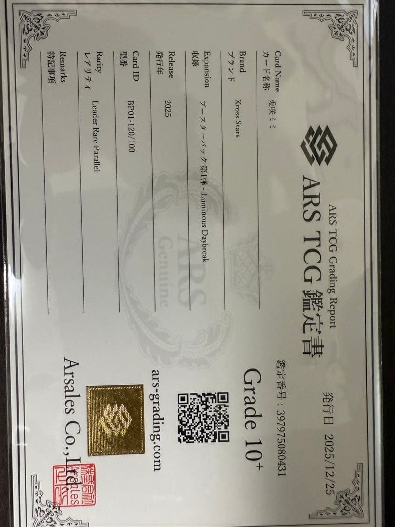 兎咲ミミ LRP ARS10+ Xross Stars