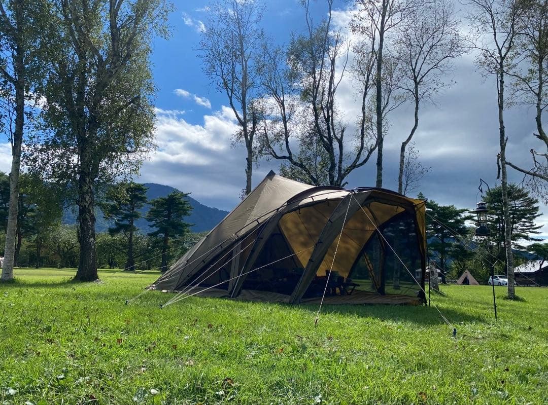 ゼインアーツ　ロロ