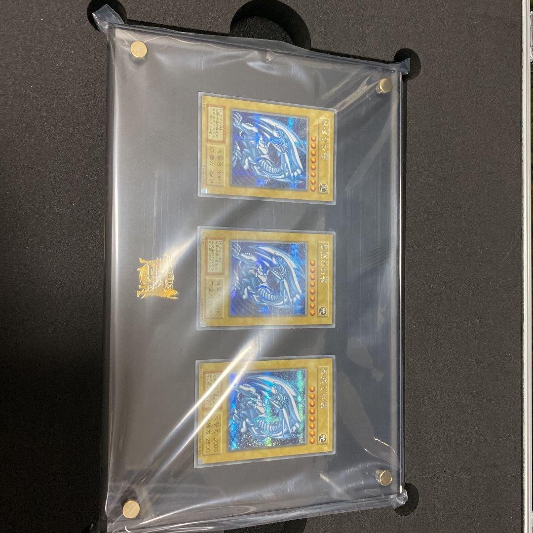 遊戯王　5つ目あり　青眼の白龍　シクブル3枚