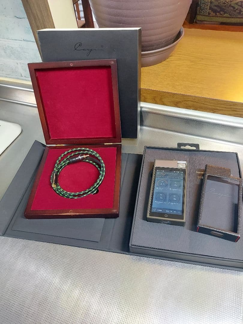 446　イヤホン11本 セット　ハードケース、cayin n5 ii 付き