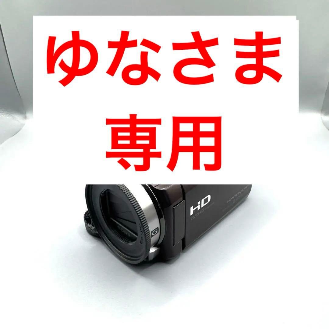 SONY　Handycam　HDR-CX430V ソニー ビデオカメラ