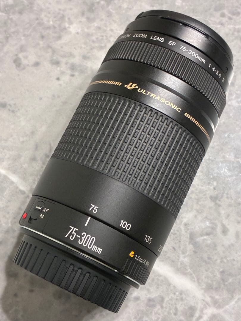⭐️外観美品⭐️Canon EF 75-300mm F/4-5.6 II USM
