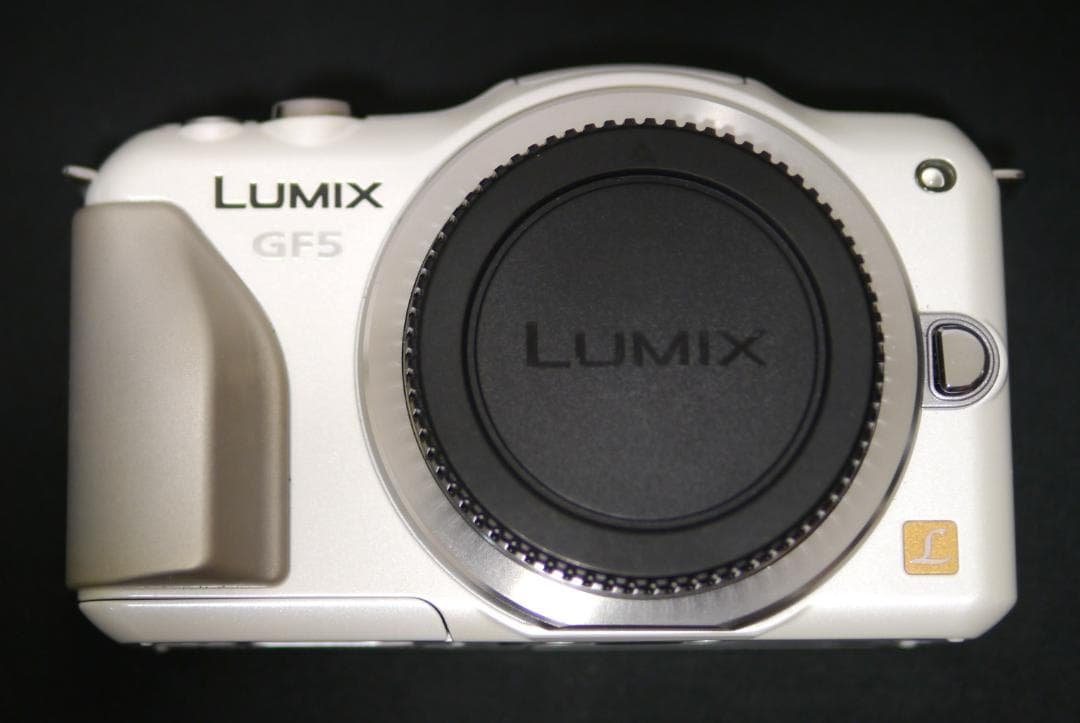 【美品・管理徹底】Panasonic LUMIX GF5 ボディ（SDカード付）