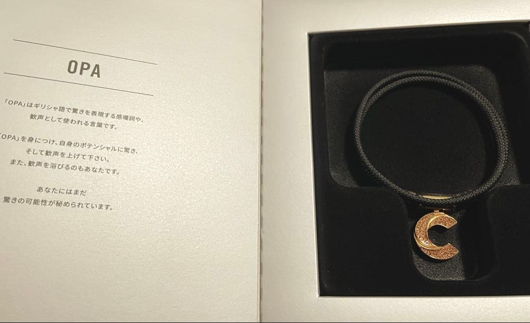 未使用品　パワードギア