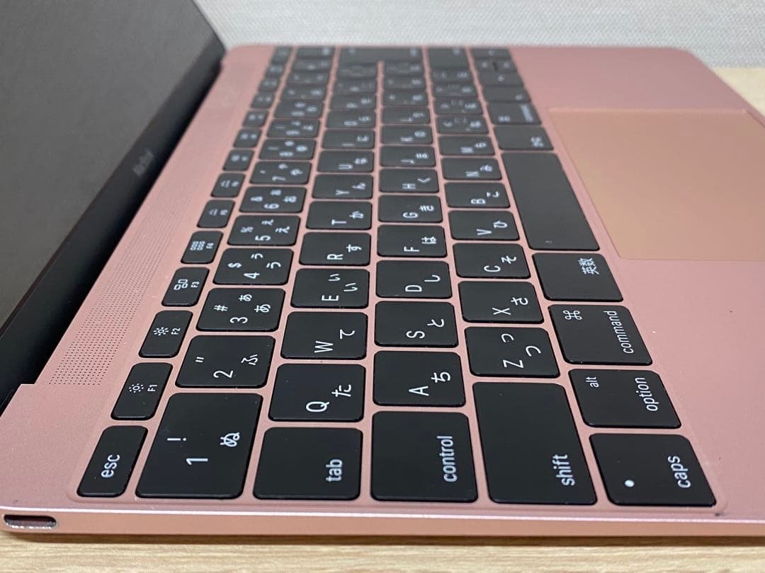 MacBook本体 MacBook Retina A1534 Early2016 m5/8/512