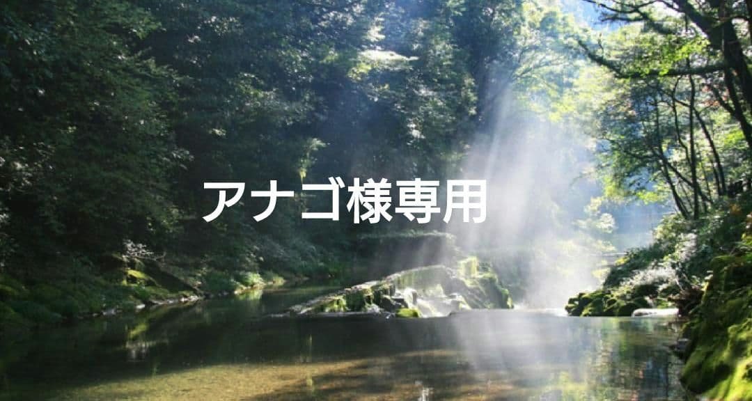 アナゴ 特典付✨電磁波防止✨本物CMCペンダント USA版 強力１本