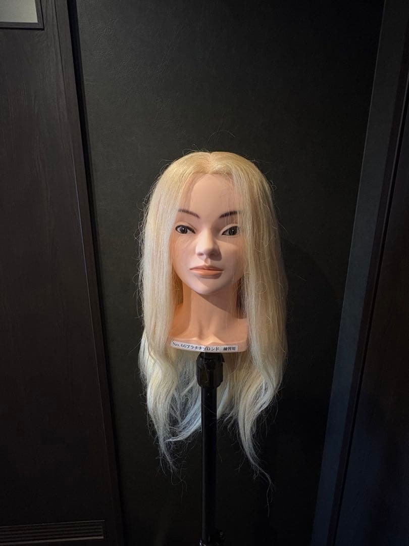 ブロンドロングウィッグ東京チャームNo.66