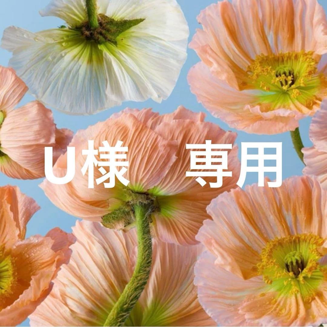 U　チョコ36