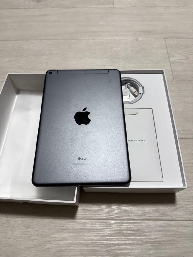 iPad miniスペースグレー 256GB 第5世代 SIMフリー
