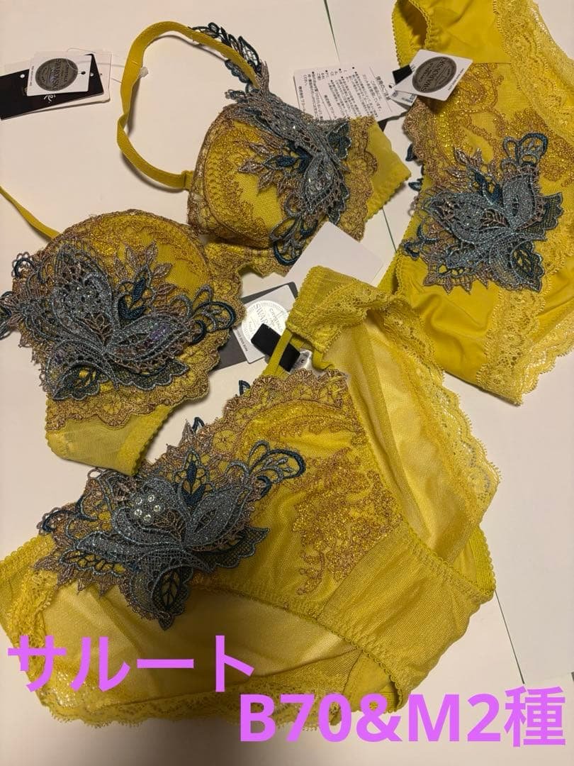 ワコール サルート B70&M2種 YE