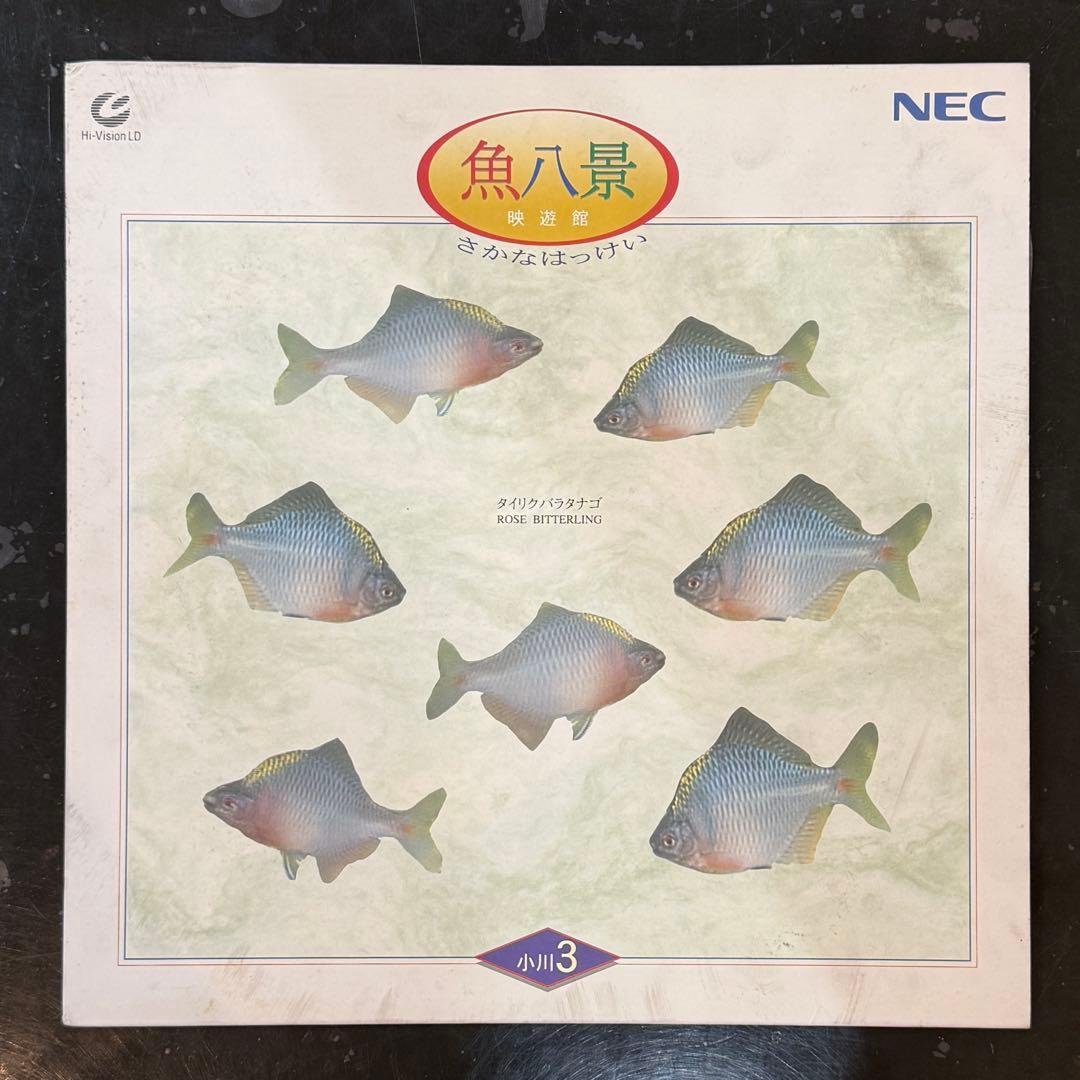 NEC 魚八景 SH3082-00 ディスク 小川3 タイリクバラタナゴ