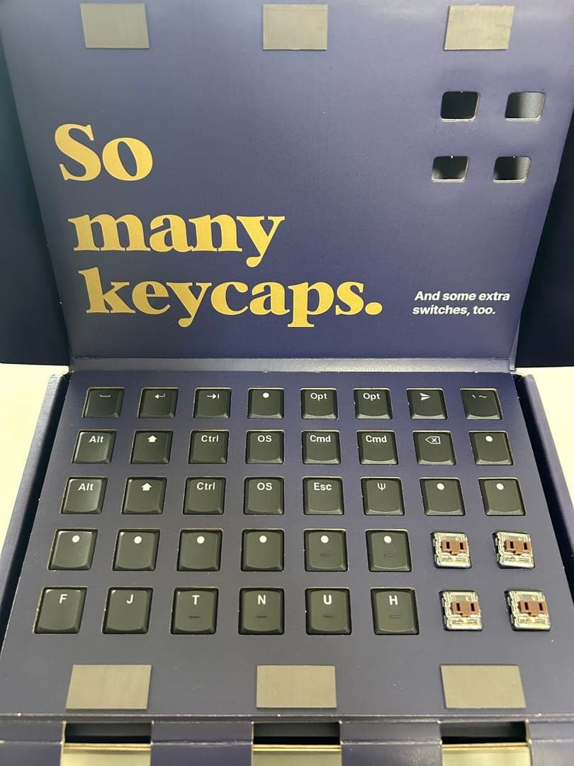 【美品】ZSA Voyager 分割キーボード リストレスト 静音キースイッチ付