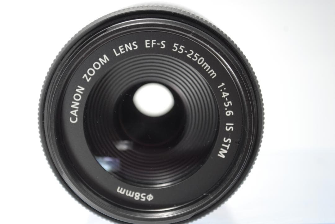 ☘️極美品☘️Canon EF-S 55-250mm IS STM 手ぶれ補正