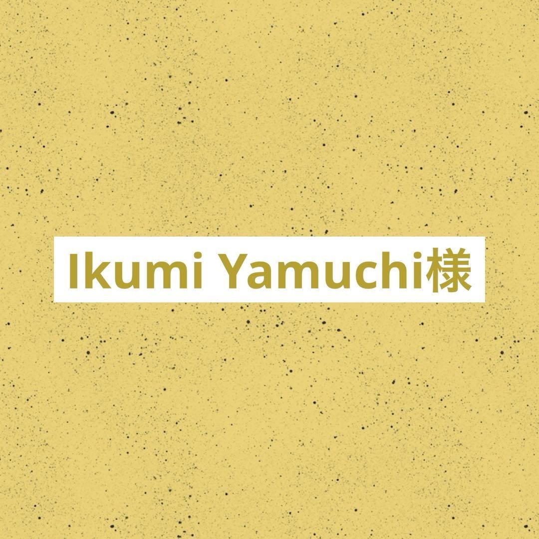 Ikumi Yamuchi リクエスト 30点 まとめ商品